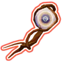 Runic Lens