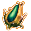 Seed of Life